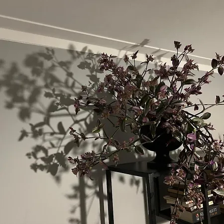 Lejlighed Douro Exclusive View Vila Nova de Gaia