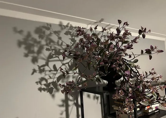 Apartment Douro Exclusive View Vila Nova de Gaia